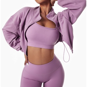Undefined European Style Clothing Fashion Custom Plain Cropped Plus Size Sport Casual Zipper Sweatshirt